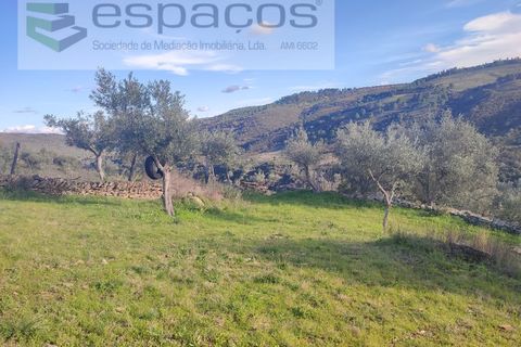 Terra a Perais, Castelo Branco, Perais - € 15.000 | Ref: 5017/RR_EM - foto 17