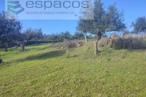 Terra a Perais, Castelo Branco, Perais - € 15.000 | Ref: 5017/RR_EM - foto 19