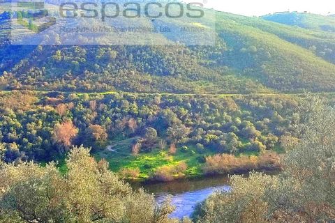 Terra a Perais, Castelo Branco, Perais - € 15.000 | Ref: 5017/RR_EM - foto 20