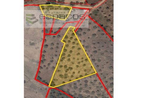Terra a Perais, Castelo Branco, Perais - € 15.000 | Ref: 5017/RR_EM - foto 22