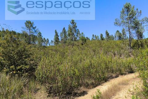 Helårsgrund i Castelo Branco, Castelo Branco, Castelo Branco - € 8.000 | Ref: 3846/EG - foto 3