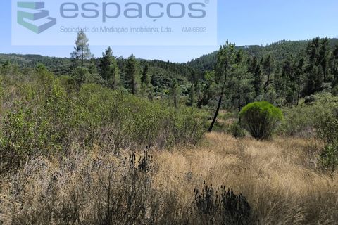 Helårsgrund i Castelo Branco, Castelo Branco, Castelo Branco - € 8.000 | Ref: 3846/EG - foto 4