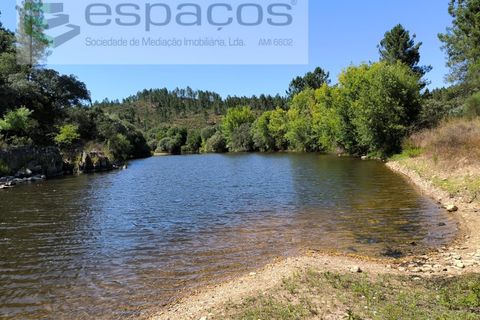 Helårsgrund i Castelo Branco, Castelo Branco, Castelo Branco - € 8.000 | Ref: 3846/EG - foto 5