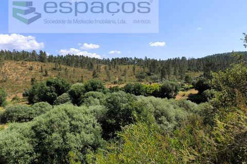 Helårsgrund i Castelo Branco, Castelo Branco, Castelo Branco - € 8.000 | Ref: 3846/EG - foto 6
