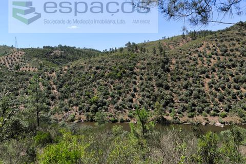 Helårsgrund i Castelo Branco, Castelo Branco, Castelo Branco - € 14.000 | Ref: 3845/EG - foto 2