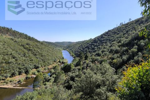 Helårsgrund i Castelo Branco, Castelo Branco, Castelo Branco - € 14.000 | Ref: 3845/EG - foto 3