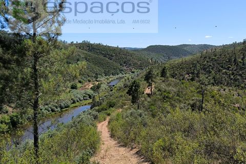 Helårsgrund i Castelo Branco, Castelo Branco, Castelo Branco - € 14.000 | Ref: 3845/EG - foto 5