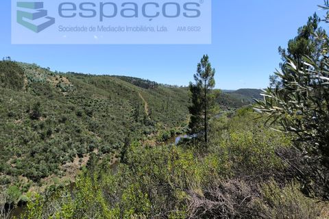 Helårsgrund i Castelo Branco, Castelo Branco, Castelo Branco - € 14.000 | Ref: 3845/EG - foto 6