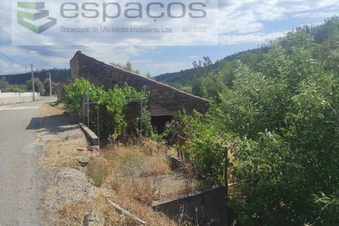 Terra a Proenca-a-Nova, Castelo Branco, Proenca-a-Nova - € 19.000 | Ref: 5605/MR - foto 2
