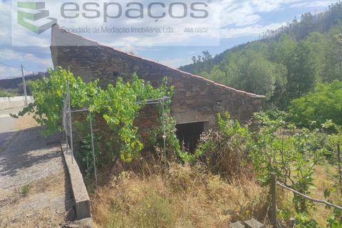 Terra a Proenca-a-Nova, Castelo Branco, Proenca-a-Nova - € 19.000 | Ref: 5605/MR - foto 3