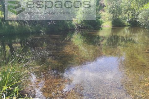 Terra a Proenca-a-Nova, Castelo Branco, Proenca-a-Nova - € 19.000 | Ref: 5605/MR - foto 4