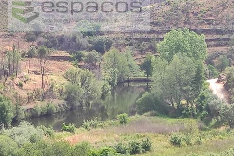 Terra a Proenca-a-Nova, Castelo Branco, Proenca-a-Nova - € 19.000 | Ref: 5605/MR - foto 5