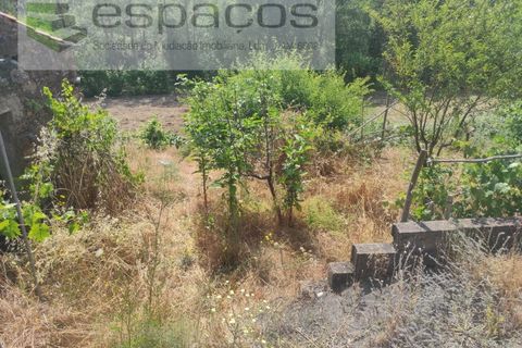 Terra a Proenca-a-Nova, Castelo Branco, Proenca-a-Nova - € 19.000 | Ref: 5605/MR - foto 6