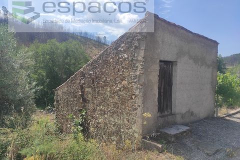 Terra a Proenca-a-Nova, Castelo Branco, Proenca-a-Nova - € 19.000 | Ref: 5605/MR - foto 7
