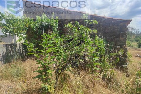 Terra a Proenca-a-Nova, Castelo Branco, Proenca-a-Nova - € 19.000 | Ref: 5605/MR - foto 11