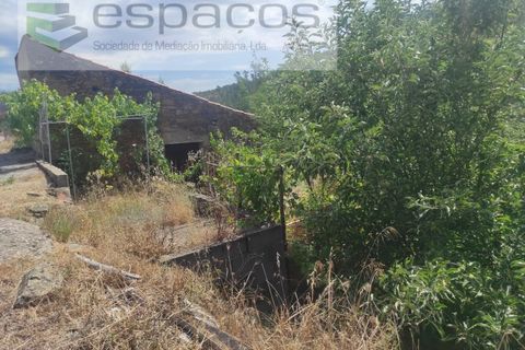 Terra a Proenca-a-Nova, Castelo Branco, Proenca-a-Nova - € 19.000 | Ref: 5605/MR - foto 12