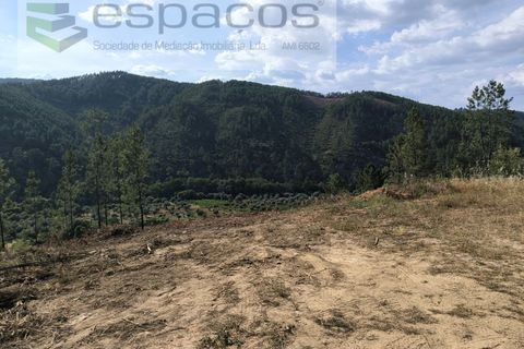Helårsgrund i Castelo Branco, Castelo Branco, Castelo Branco - € 12.500 | Ref: 3842/EG - foto 2