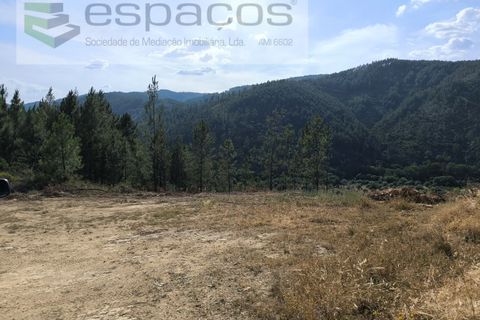 Helårsgrund i Castelo Branco, Castelo Branco, Castelo Branco - € 12.500 | Ref: 3842/EG - foto 3