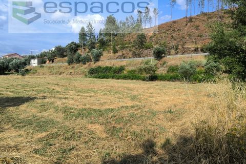 Helårsgrund i Castelo Branco, Castelo Branco, Castelo Branco - € 12.500 | Ref: 3842/EG - foto 5