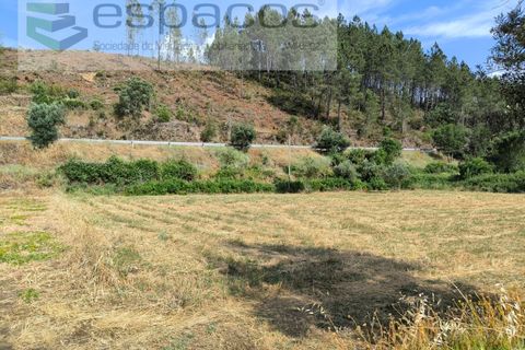 Helårsgrund i Castelo Branco, Castelo Branco, Castelo Branco - € 12.500 | Ref: 3842/EG - foto 6