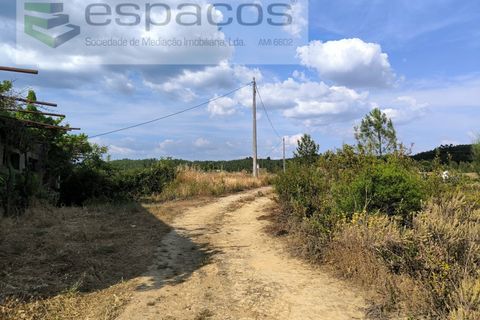 Helårsgrund i Castelo Branco, Castelo Branco, Castelo Branco - € 12.500 | Ref: 3842/EG - foto 8