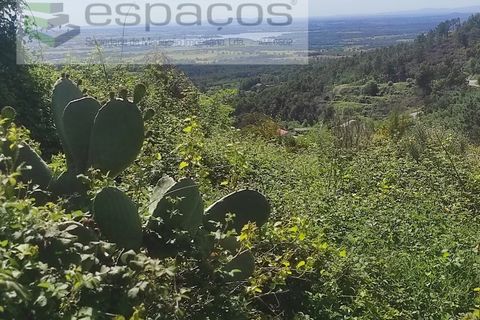 Helårsgrund i Castelo Branco, Castelo Branco, Castelo Branco - € 20.000 | Ref: 3824/MR - foto 1