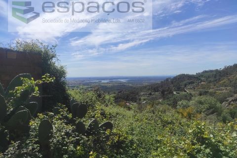 Helårsgrund i Castelo Branco, Castelo Branco, Castelo Branco - € 20.000 | Ref: 3824/MR - foto 2