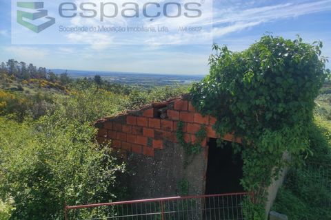 Helårsgrund i Castelo Branco, Castelo Branco, Castelo Branco - € 20.000 | Ref: 3824/MR - foto 3