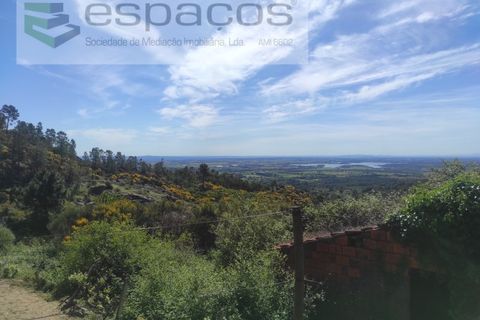Helårsgrund i Castelo Branco, Castelo Branco, Castelo Branco - € 20.000 | Ref: 3824/MR - foto 4