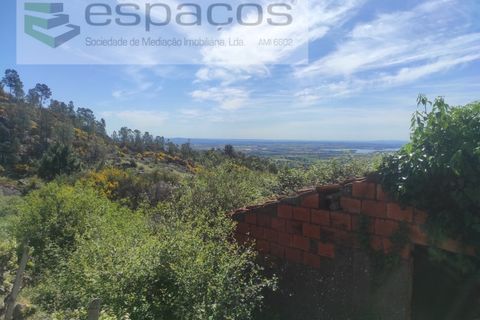 Helårsgrund i Castelo Branco, Castelo Branco, Castelo Branco - € 20.000 | Ref: 3824/MR - foto 5