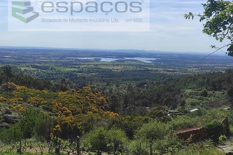 Helårsgrund i Castelo Branco, Castelo Branco, Castelo Branco - € 20.000 | Ref: 3824/MR - foto 6