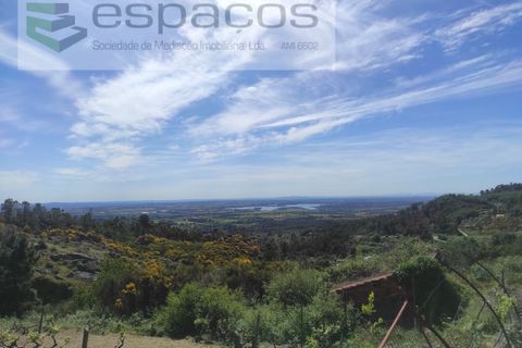 Helårsgrund i Castelo Branco, Castelo Branco, Castelo Branco - € 20.000 | Ref: 3824/MR - foto 11