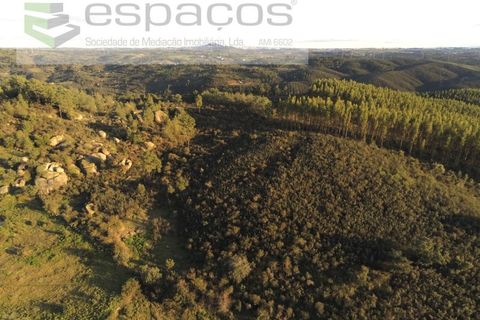 Helårsgrund i Castelo Branco, Castelo Branco, Castelo Branco - € 11.500 | Ref: 3758/EG - foto 1