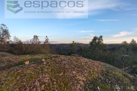 Helårsgrund i Castelo Branco, Castelo Branco, Castelo Branco - € 11.500 | Ref: 3758/EG - foto 5