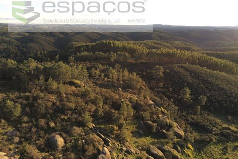 Helårsgrund i Castelo Branco, Castelo Branco, Castelo Branco - € 11.500 | Ref: 3758/EG - foto 7