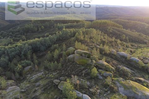 Helårsgrund i Castelo Branco, Castelo Branco, Castelo Branco - € 11.500 | Ref: 3758/EG - foto 8
