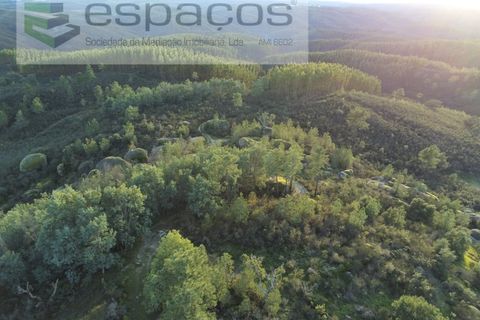 Helårsgrund i Castelo Branco, Castelo Branco, Castelo Branco - € 11.500 | Ref: 3758/EG - foto 9