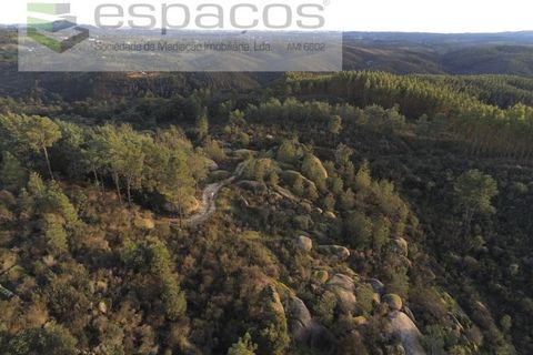 Helårsgrund i Castelo Branco, Castelo Branco, Castelo Branco - € 11.500 | Ref: 3758/EG - foto 10