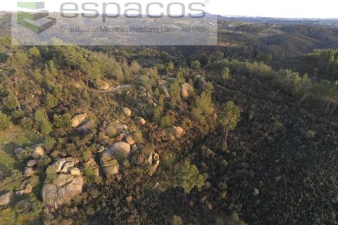 Helårsgrund i Castelo Branco, Castelo Branco, Castelo Branco - € 11.500 | Ref: 3758/EG - foto 11