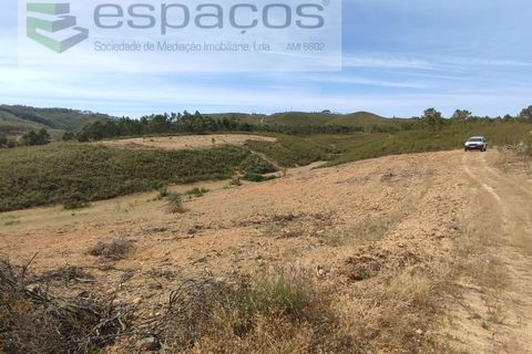 Tomt i Perais, Castelo Branco, Perais - € 12 500 | Ref: 4025/EG - foto 2