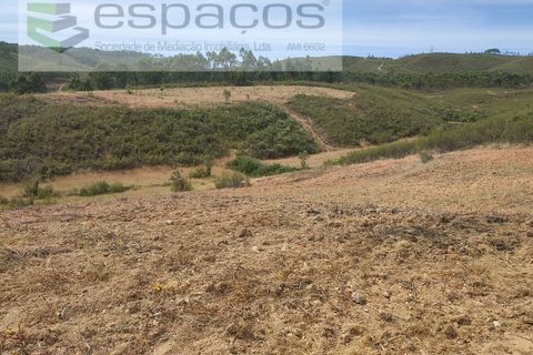 Tomt i Perais, Castelo Branco, Perais - € 12 500 | Ref: 4025/EG - foto 3