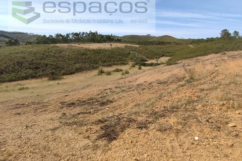 Tomt i Perais, Castelo Branco, Perais - € 12 500 | Ref: 4025/EG - foto 4