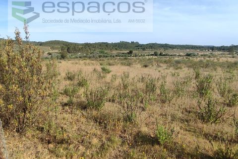 Tomt i Perais, Castelo Branco, Perais - € 12 500 | Ref: 4025/EG - foto 5