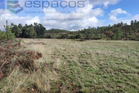Helårsgrund i Castelo Branco, Castelo Branco, Castelo Branco - € 25.750 | Ref: 3968/EG - foto 2