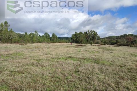 Helårsgrund i Castelo Branco, Castelo Branco, Castelo Branco - € 25.750 | Ref: 3968/EG - foto 3
