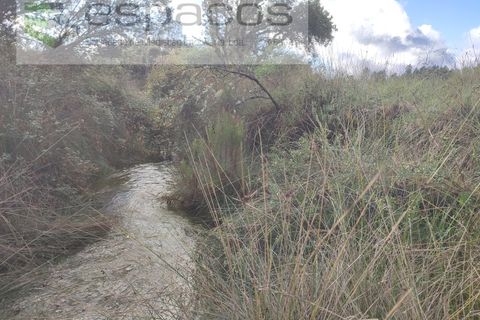 Helårsgrund i Castelo Branco, Castelo Branco, Castelo Branco - € 25.750 | Ref: 3968/EG - foto 6