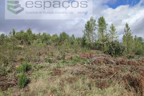 Helårsgrund i Castelo Branco, Castelo Branco, Castelo Branco - € 25.750 | Ref: 3968/EG - foto 12