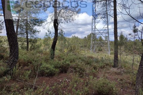 Helårsgrund i Castelo Branco, Castelo Branco, Castelo Branco - € 50.000 | Ref: 3961/EG - foto 3
