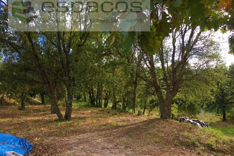Terra a Fundao, Castelo Branco, Fundao - € 210.000 | Ref: 4642/GA - foto 2