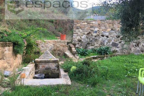 Terra a Fundao, Castelo Branco, Fundao - € 210.000 | Ref: 4642/GA - foto 3